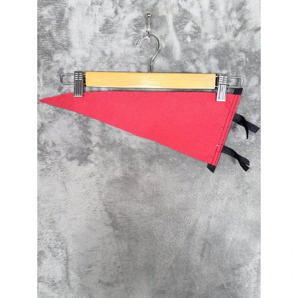 SDSU Aztecs Pennant San Diego State University College NCAA Fan Decor Red Black